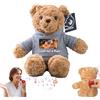 MeterBear Orso di Peluche Personalizzato con Registratore Vocale Personalizzato Teddy Bear, Orsacchiotto Peluche come Regalo Personalizzati per Donne Uomini a San Valentino, Regali Anniversario (26cm)