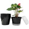 RooTrimmer Vasi da fiori in plastica da 20,3 cm, confezione da 12 vasi con piattini trasparenti per piante che crescono interni/esterni per la decorazione (colore nero)
