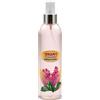 Seramis GmbH SERAMIS - Spray vitale, per la cura delle foglie, per orchidee, 250 ml