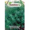 MN SRL Erba Aromatiche,Dragoncello,Estragone,Artemisia Semi 2 Buste MAXI