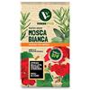 VERDE VIVO Trappola adesiva cromotropica per mosche bianche, scatola da