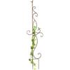 DanDiBo Supporto per rampicanti in metallo, 135 cm, 93999