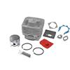 perfektGarten Cilindro e pistone 44 mm compatibile con decespugliatore GrecoShop BAKAJI Wiltec San Marco KRAFTROYAL