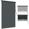 Aufun Tenda da Sole Verticale con Manovella 160x250 cm, Tenda a Rullo per Esterno con Cassetta per Balcone, Terrazzo e Esterni, Protezione da Vento e Sole (1,6 x 2,5 m, Antracite)