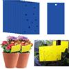 TopHomer 20 trappole adesive per mosche, 25 x 40 cm, adesivi di carta per mosche blu, protezione per piante, cattura mosche appiccicose su entrambi i lati per insetti contro moscerini funghi, mosche bianche