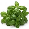Generico Semi di Basilico Italiano Comune 6g | Alta Germinazione | Semi da Orto per Vaso, Balcone e Giardino | Pianta Aromatica Profumata per Pesto e Cucina | Semi Professionali Made in Italy
