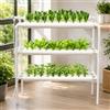 Futchoy Kit di Coltivazione Idroponica 108/90 Siti per Piante 3 Strati Piante Vegetali Giardino Cortile Terrazza, per casa, giardino e ufficio (99 Piante)