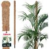 KOTARBAU® Tutori per Piante - ⌀ 3,2 x 180 cm - Palo di Muschio per Monstera - Fibra di Cocco - Palo per Piante - Marrone - Stecche di Supporto - Bastone Fibra di Cocco