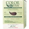Colorerbe Multipack 6x TINTURA COLOR ERBE BIO CASTANO DORATO (4.3)-Colorazione Permanente in Gel-Senza Ammoniaca,Resorcina,Parabeni-Copertura Ottimale Capelli Bianchi-Nutre-Protegge-Illumina-MadeInItaly