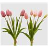 EDG Enzo De Gasperi Bouquet di 5 Tulipani Olis Ass. H 40 Cm Mauve 1 Pz
