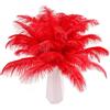 THARAHT 24pcs Piume di Struzzo Rosso Naturale Bulk 8-10Inch 20cm-25cm per la Festa di Nozze centrotavola Pasqua Gatsby e casa Decorare Piume di Struzzo