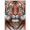 XIANGPEIFBH Quadro su Tela Dipinto con Tigre Bianca e Nera Foto Poster nordici e Stampe Immagini da Parete per Club per la Decorazione del Soggiorno 60x80 cm / 23,6 x 31,5 Senza Cornice
