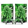 PDURMBUAB Nessuna Schiuma Nessuna Bolla Per PS5 Skin Disc Edition Anime Console E Controller Vinile Cover Wraps Per PS 5 Version(58956)