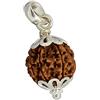 INDIA MADE 5 Mukhi Rudraksha Ciondolo in Argento Certificato Nepalese Cinque Mukhi Rudraksha per Scopi Astrologici - 6748, Argento, Zaffiro Artificiale