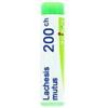 Boiron Lachesis Mutus 200CH Globuli Tubo