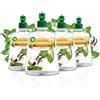 Airwick Active Fresh Deodorante per Ambienti, Ricarica per Diffusore Spray Automatico senza Gas alla fragranza Vaniglia e Caprifoglio, 228 ml (Confezione da 3)