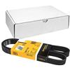 CONTITECH 6PK1153 Cinghia Poly-V