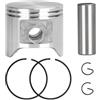 DORFEY Kit fasce elastiche pistone da 48 mm con 2 fasce elastiche adatte for motoseghe H-u-s-q-v-a-r-n-a 365, 365XP, 365 Special e 365 EPA. Ricambi.