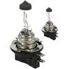 CARALL 2 Pezzi di Lampade Alogena 12V Per Auto (H8B 12V 35W PGJY19-1)
