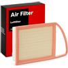 STARK SKAF-0060176 Filtro aria Compatibilità con PEUGEOT 206 2 volumi/Coda spiovente 2A/C