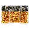 TXDBD Kit Bulloni E Viti Per Carenatura Per H&onda, Per FORZA 125, Per HORNET 600, Per CB125R XADV, 177 Pezzi Bulloni Kit Carrozzeria Viti(Oro)