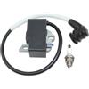 ICOOYO Bobina di accensione per Oleo-Mac 983TTA Efco TT183 52010320AR