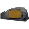 Generico Filtro Aria per Honda Forza 250 X 2005-2008, Honda Reflex 250 2008