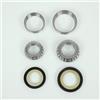 EVOK Kit cuscinetto sterzo EVOK per moto Honda 900 Cb F Bol D oro 1979 SC01