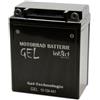 intAct - BATTERIA MOTO GEL Bike-Power GEL12-12A-4A1. Sostituisce la 12N12A-4A-1. Batteria per moto 12Ah 210A. Dimensioni: 135x81x161 mm. Con una potenza di avviamento superiore del 30%.