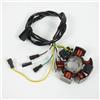 P2R Stator di accensione tipo origine Moto Minarelli 50 AM6 nove