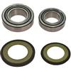 All Balls Cuscinetto Sterzo Per XTZ 660 H Tenere anno 1991-1998 di All Balls Racing