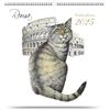 AIMA Calendario Da muro 2026 31x33 cm - Calendario da parete spiralato 12 mesi - Calendario Con Gatti e Roma - Calendario Con Gatto 2026 - Con 2 Calamite in Omaggio - Colosseo
