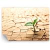 Arttor Carta da parati Vinile in TNT Premium Sand - Deserto terra ambiente - 100x70 cm - Fotomurali Decorazione Murale Moderna Poster gigante XXL Decorazione da Muro Camera da letto - WF2AA100x70-2173