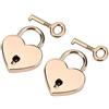 Tnfeeon Lucchetto a Forma di Cuore con Chiave, 2 Set Lucchetto Piccolo a Forma di Cuore in Metallo Mini Lucchetto per Portagioie con Libro Diario