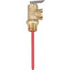Uinfhyknd WYA-20 99C 101 210F WYA-20 0,7 MPa per Valvola Valvola di Sfogo Temperatura e Pressione Da 3/4 Pollici Come Valvola di Sicurezza