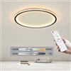 HEYUN Plafoniere a LED Moderne Luci rotonde semplici per soggiorno Lampade per camera da letto Luci per corridoio nordico di moda Luci per sala studio Nero,Dimmable,60cm