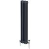 Monster Shop Radiatore Termosifone a 3 Colonne 1800mm x 202mm Moderno Centralizzato Grigio antracite in Acciaio Inox Verticale a Parete Cucina Soggiorno Bagno Kit di Fissaggio e Spazzola Inclusi