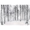 WallArena - Carta da parati fotografica - Paesaggio forestale 150x105 cm - Murale fotografico - Per soggiorno e camera da letto - Effetto 3D - con Colla - Foresta di betulle
