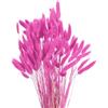 QUARKZMAN 120pz Coda di Coniglio Naturale Fiori Secchi 43cm Mini Erba di Pampa per Decorazioni Floreali Matrimonio Natale, Rosa Rosso