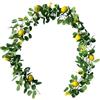 SPORTARC Ghirlanda artificiale di limone, finta pianta rampicante con foglie di eucalipto e limoni (stile 2: 2 m)