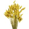 QUARKZMAN 120pz Coda di Coniglio Naturale Fiori Secchi 43cm Mini Erba di Pampa per Decorazioni Floreali Matrimonio Natale, Giallo Scuro