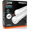 Eurocali Tubo LED 120 cm 18W in VETRO 1850 lumen Bianco Freddo 6500K - Sostituzione Neon T8 - Pacco da 2 tubi