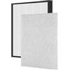 RAYPUR Filtro Hepa di ricambio EF116, compatibile con EAP450 Electrolux, filtro purificatore d'aria