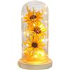 JYCRA Fiori Stabilizzati di Girasole Girasole in Vetro per la Decorazione Domestica Romantica per il Compleanno della Festa della Mamma(#1)