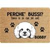 fashwork Tappeto PERSONALIZZATO con nome cane divertente Barboncino Perchè bussi? Zerbino in poliestere 60x40 cm