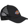 Dickies Sumiton - Cappellino per camionista, colore: Nero, Nero , Taglia unica