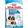 Royal Canin C-08495 S.N. Starter Gigante - 15 kg