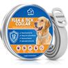 GLOWPOINT Collare Antiparassitario per Cani, Collare Regolabile Impermeabile per 12 Mesi, Repellente Duraturo per la Prevenzione dei Parassiti su Razze Piccole, Medie e Grandi (65cm)
