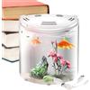 Genérico Piccolo acquario - Acquario acrilico USB da 5 l, mini scrivania, luce LED, pompa dell'acqua, riduzione delle emissioni, acquario portatile, acquario da tavolo | ambiente sano e vibrante, per spostarsi