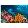 Didooou Adesivo autoadesivo per decorazione sottomarina dell'acquario, sfondo paesaggio naturale, corallo, adesivo per sfondo dell'acquario, per vasca dei pesci (30 * 60 cm / 11,8 * 23,6 pollici